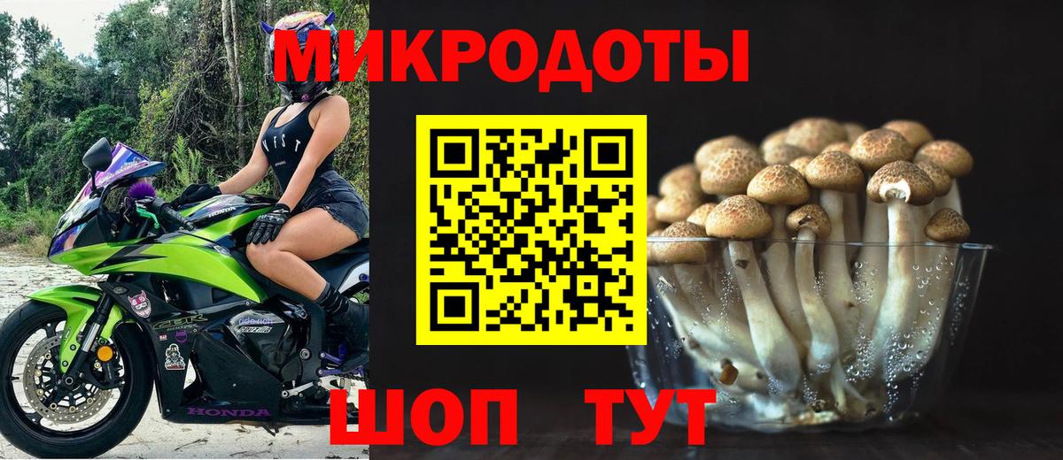 Галлюциногенные грибы Psilocybine cubensis  Вход с VPN  Галлюциногенные грибы прущие грибы  Шали 