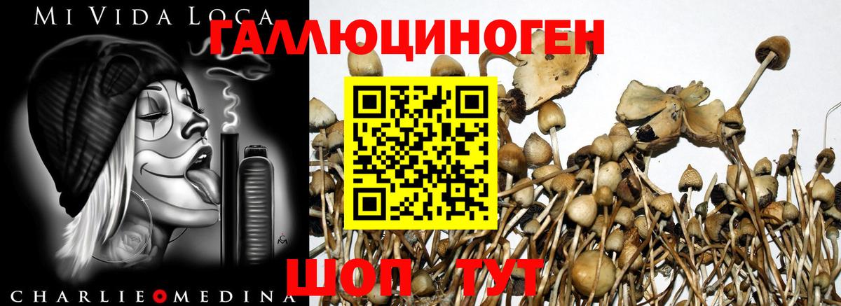 Псилоцибиновые грибы Magic Shrooms Шали